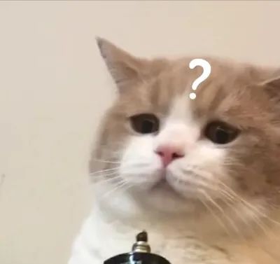 DƬ